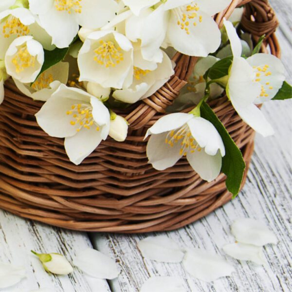 White jasmine flowers in a wicker basket on a wooden table.